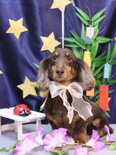 20230713ここあくん